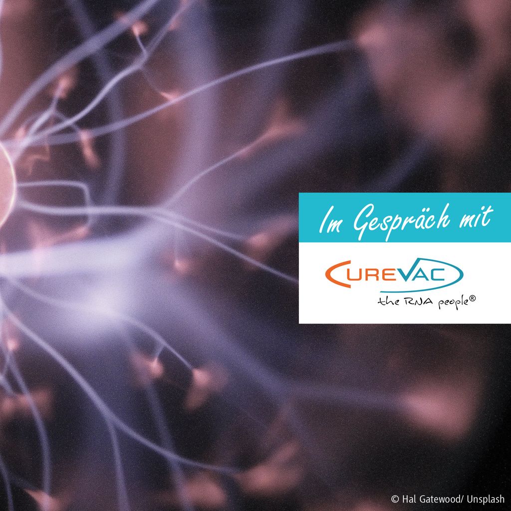 CureVac JobBörse, JobMessen, Stellenangebote uvm. T5 Karriereportal