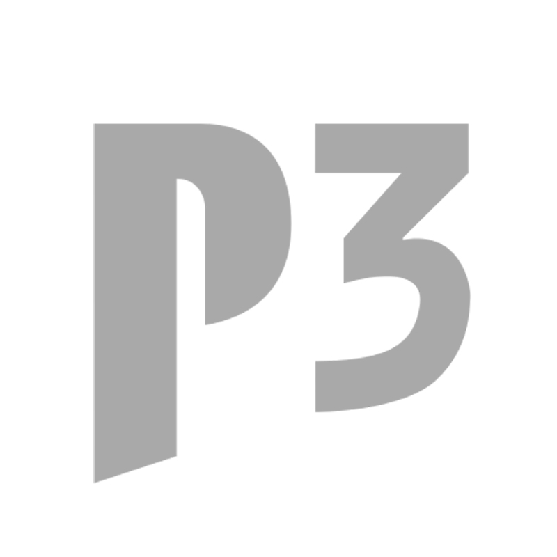 P3 group